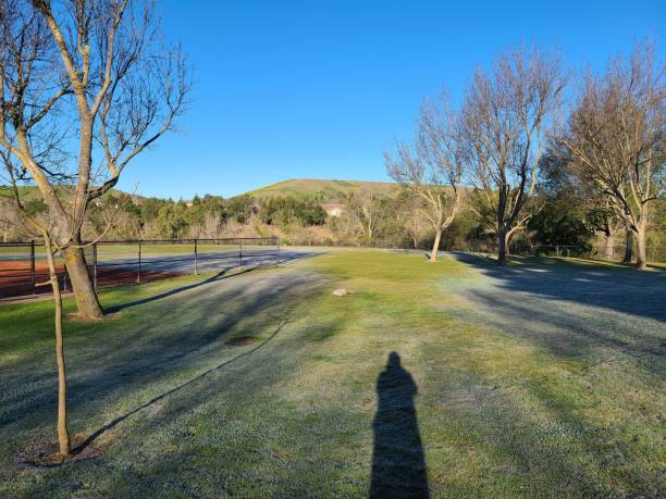 frosted ground in a public park, san ramon, california - mt diablo state park california san francisco bay area suburb imagens e fotografias de stock