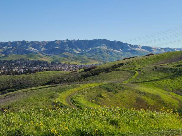 カリフォルニア州ダンビルのディアブロ山近くの丘の雪 - mt diablo state park ストックフォトと画像