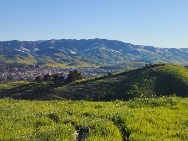 snow on the hills near mt diablo in danville, california - mt diablo state park california san francisco bay area suburb imagens e fotografias de stock