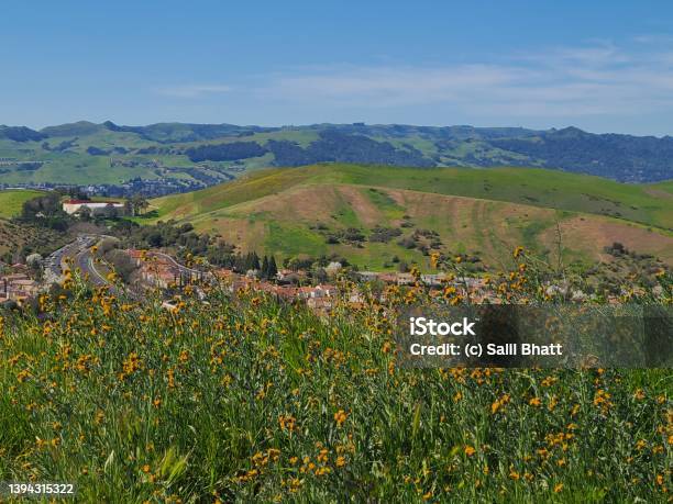 カリフォルニア州サンラモンバレーを見下ろすワイルドフラワー牧草地 アメリカ合衆国のストックフォトや画像を多数ご用意 アメリカ合衆国