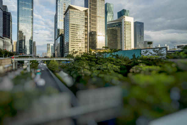 Asia, Shenzhen, Futuristic, City, Town