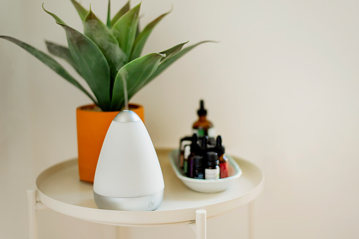 Small essential oil diffuser sits on a small round table next to a plant and a small collection of essential oils