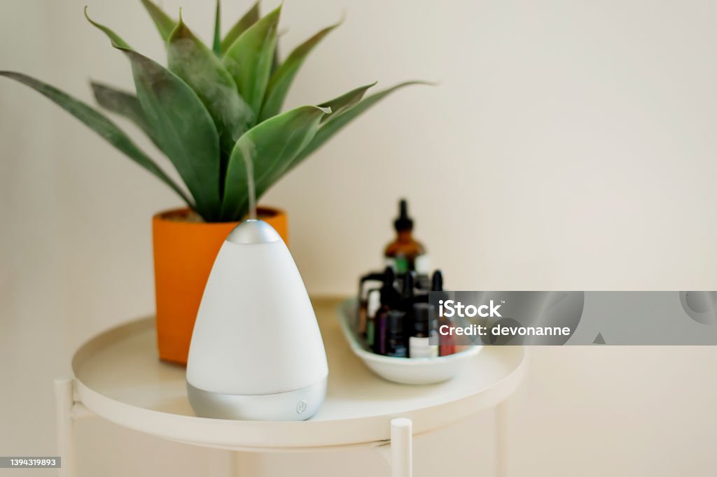Essential Oil Aromatherapy Diffuser Small essential oil diffuser sits on a small round table next to a plant and a small collection of essential oils Aromatherapy Diffuser Stock Photo