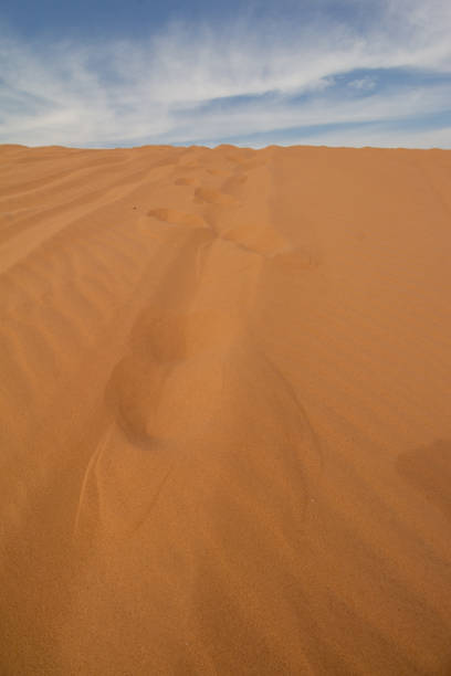 istock Little Sahara State Park 1394328340