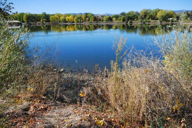 istock Colorado lake landscape with vegetation and reflections 1394330859