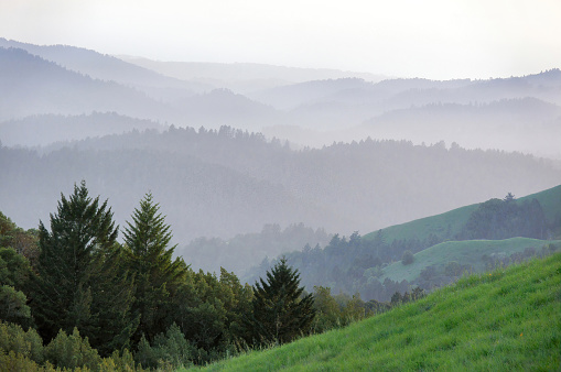 Rolling Landscape at Russian Ridge Preserve in Santa Cruz Mountains, California, USA.