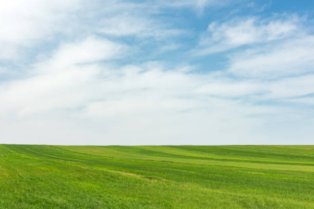 istock Landscape with green farm fields and cloudy sky 1394340506