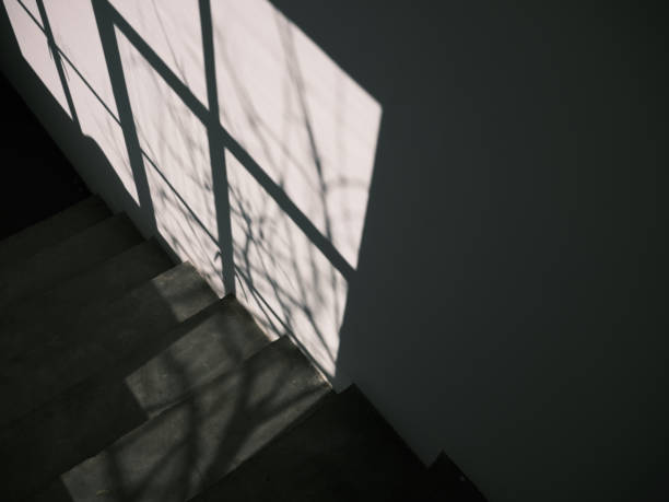 istock Shadow made by afternoon sunlight in winter. 1394342046