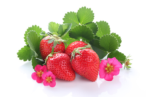 strawberries with flower and leaves isolated on white background.