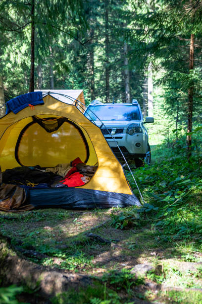 istock yellow tent with suv car in forest 1394350948
