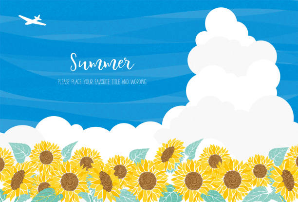 rahmenmaterial des sommerbildes der sonnenblumenillustration - sunflower field scenics landscape stock-grafiken, -clipart, -cartoons und -symbole