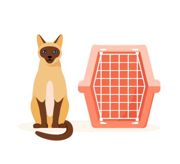 Cat and pet carrier. Manual plastic carrying case for traveling with pets or visiting veterinarian. Cat transport box. Flat style vector illustration Cat and pet carrier. Manual plastic carrying case for traveling with pets or visiting veterinarian. Cat transport box. Flat style vector illustration transportation cage stock illustrations