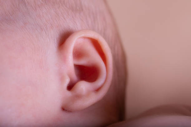 istock close up of baby ear 1394363909