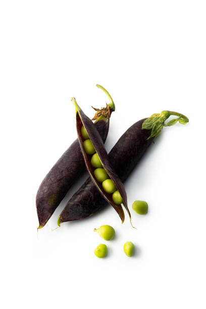 Stringless sugar pod peas, 8 cm deep green juicy and sweet pods which are good in salads.