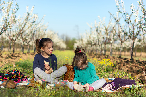 Two sisters sitting on the blanket at a picnic in the orchard