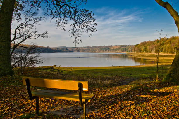 istock Bench at Swinsty Reservoir, Otley, North Yorkshire 1394364532