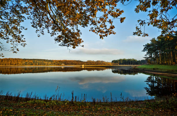 istock Fewston Reservoir, Yorkshire 1394365923