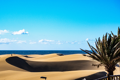 Maspalomas Sand Dunes, Dunas de Maspalomas on the south coast of the island of Gran Canaria, Canary Islands, Spain