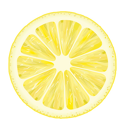 vector, illustration, lemon, lemon slice, circle shaped lemon slice