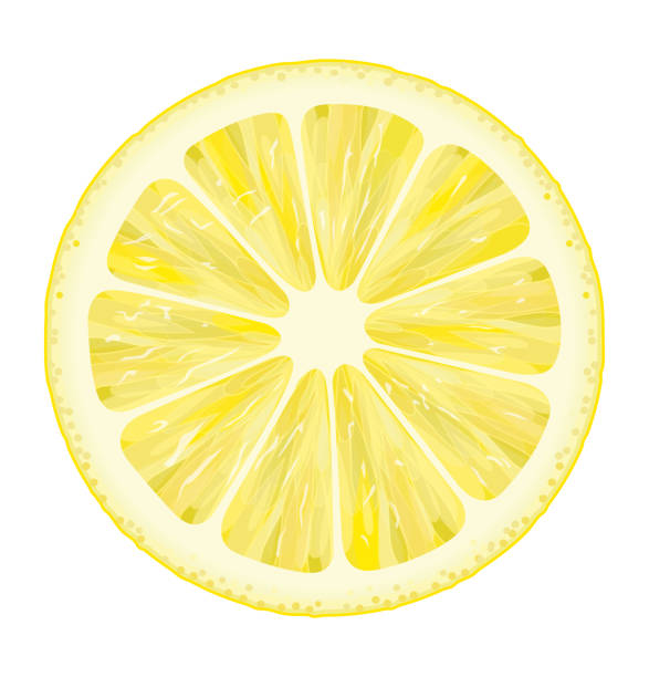 lemon slice vector, illustration, lemon, lemon slice, circle shaped lemon slice citric acid stock illustrations