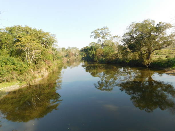 istock A river at Kaziranga National Park. 1394373155