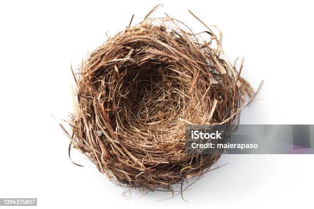 Nest Stock Photo - Download Image Now - Bird's Nest, White Background, Birdhouse