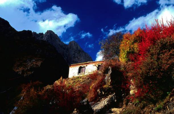 ドリグン修道院の後ろの丘の中腹にある僧侶の家.autumnはとても美しいです - monk tibet buddhism china ストックフォトと画像