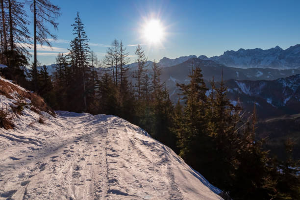 hochobir - sentier de randonnée tôt le matin. vue panoramique près de hochobir dans les montagnes karawanks en carinthie, alpes autrichiennes - apres ski winter hiking ski photos et images de collection