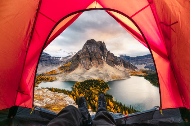 Hiker man relaxing in a tent with mount assiniboine view in autumn forest stock photo