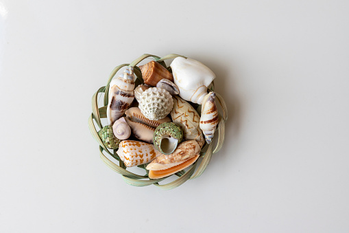 Seashells in a basket on white isolated background