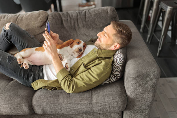 istock Man Playing With basset Pet Dog At Home sofa using his cellphone 1394397685
