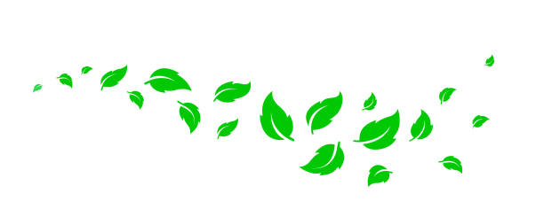 ilustrações, clipart, desenhos animados e ícones de onda natural verde com silhuetas de folhas voadoras - wave curl