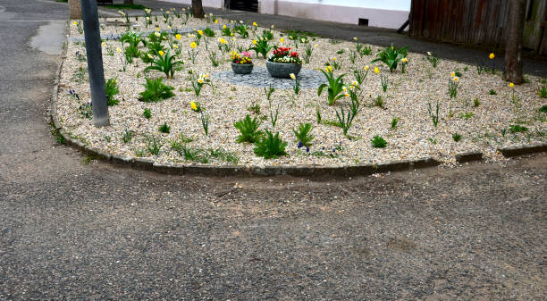 istock flower beds an street with cobbled sidewalks stone cobblestone mosaic. spring bulbs bloom in front of perennials in a gravel bed. round pots with blooming yellow and red flowerpots 1394400371