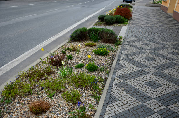 istock flower beds an street with cobbled sidewalks stone cobblestone mosaic. spring bulbs bloom in front of perennials in a gravel bed. round pots with blooming yellow and red flowerpots 1394400379