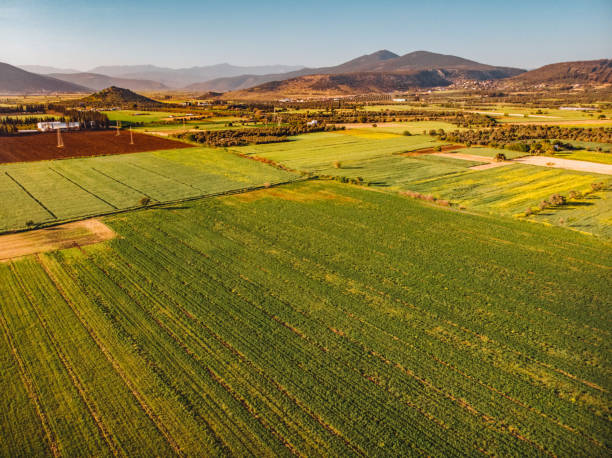 istock Aerial View Farmland 1394402052