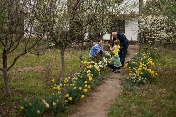 istock Family picking flowers 1394402942