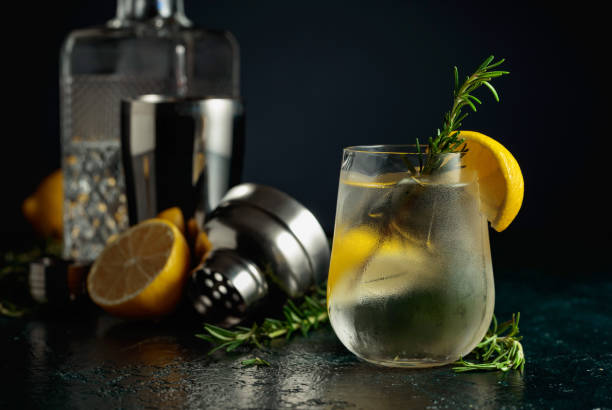 tonik koktajlowy z naturalnym lodem, cytryną i rozmarynem. - glass ice tonic water frozen zdjęcia i obrazy z banku zdjęć