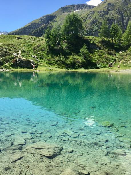 istock Suisse - Valais - Arolla - lac bleu 1394403342