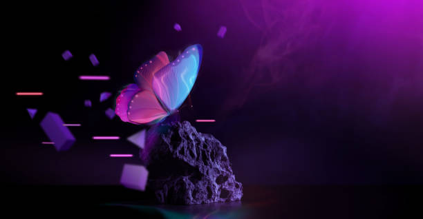 Metaverse, Web3 and Blockchain Technology Scene. Futuristic Background. Included with Elements of Butterfly, Rock, 3d, Graphic and Neon Light. Conceptual Photo