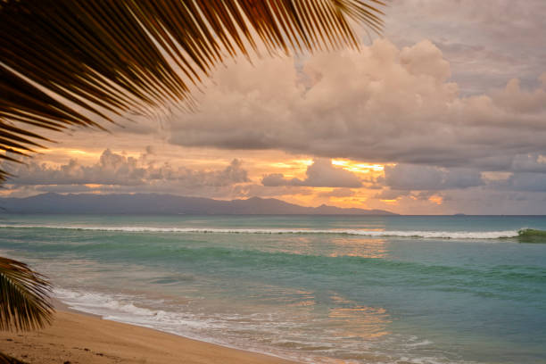 Sunset at the Caribbean Sea, view from Grande-Terre to Basse-Terre, Guadeloupe, palm tree leaf in foreground