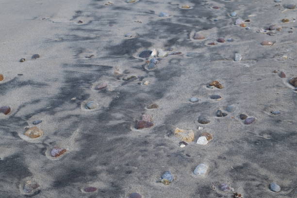 istock Pebbles on the sandy beach of the coast 1394404458