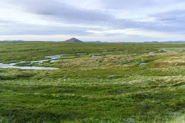 Photo of Green valley under partly cloudy sky at dusk