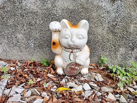 Maneki neko is a cat statue that is believed to bring good luck by Japanese people. This statue is common with traders in Japan placed in front of shop windows to bring good luck and now this custom has spread to the Asian continent. Don't know why this statue is on the side of the road. Maybe because the condition is old and ugly, so the owner puts it on the side of the road because the owner feels guilty if he throws it in the trash