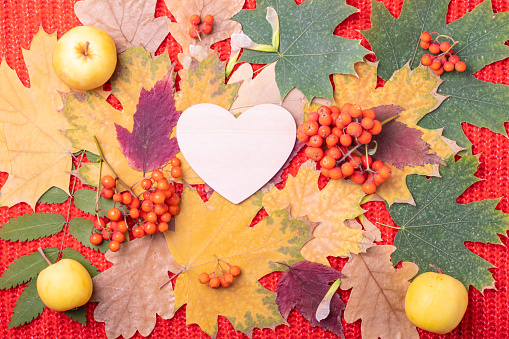 Wooden heart on a background of multi-colored red, orange, green dry fallen autumn leaves, small apples and berries. Autumn, love concept. Support concept in autumn. Family concept.