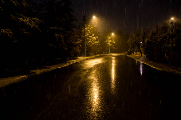 istock empty street, street light and pine trees at snowfall 1394412134