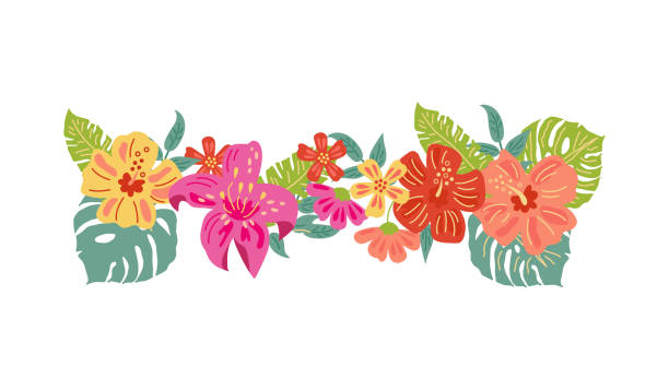 bunga dan daun eksotis tropis. ilustrasi vektor diisolasi dengan latar belakang putih. elemen desain gaya datar untuk poster, spanduk, undangan pesta, konsep musim panas. - indonesia culture ilustrasi stok