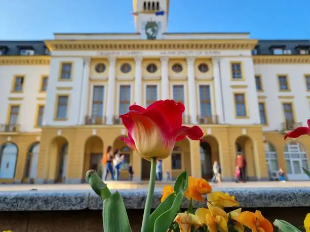 Photo of Garden with colorful flowers in front of Municipality of town Sliven, Bulgaria. Good looking building painted white and yellow. Nature surround the city.