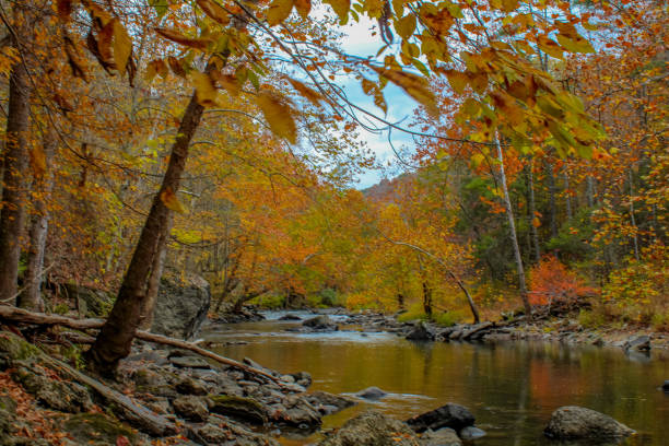 istock Autumn views along the river 1394413431