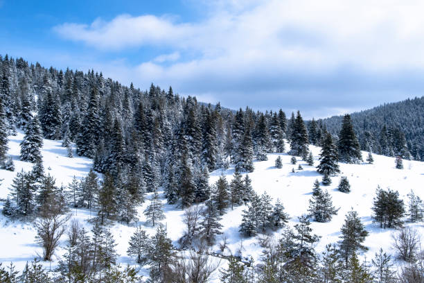 istock a winter landscape with deep snow forests and blue sky 1394413659
