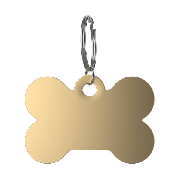 istock Blank Cat Dog Id Tag Name Pendant Bone Necklace Collar Mockup. 1394416081